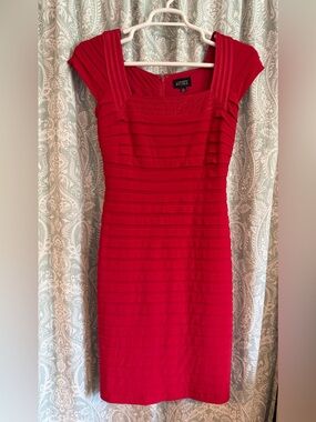 Adrianna Papell Red Pleated Bodice Dress